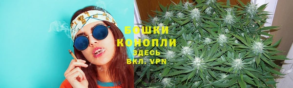 трава Балахна