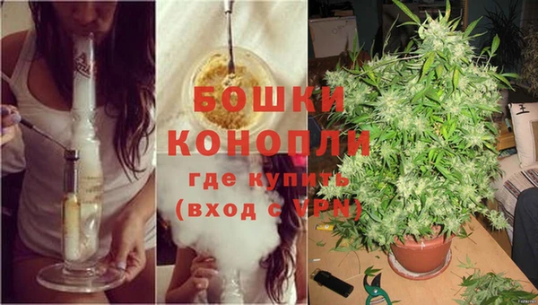 трава Балахна