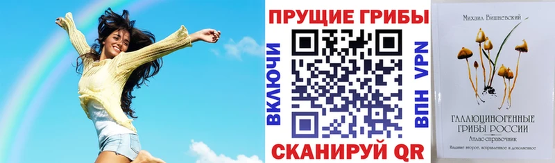 как найти Куса Псилоцибиновые грибы Magic Shrooms